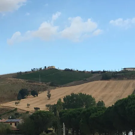 La Cicala
